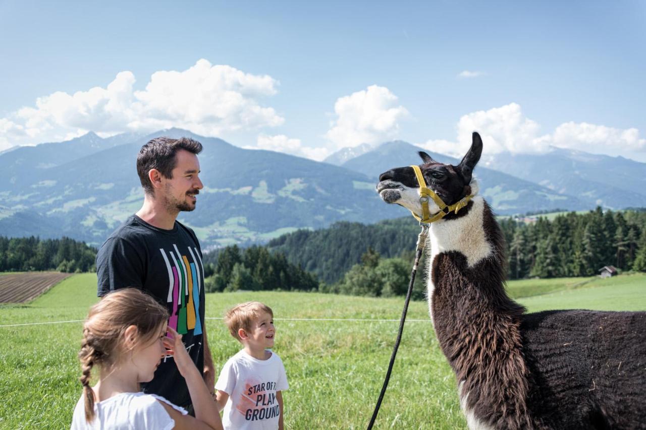 Chalet-Karwendel Terfens Dış mekan fotoğraf