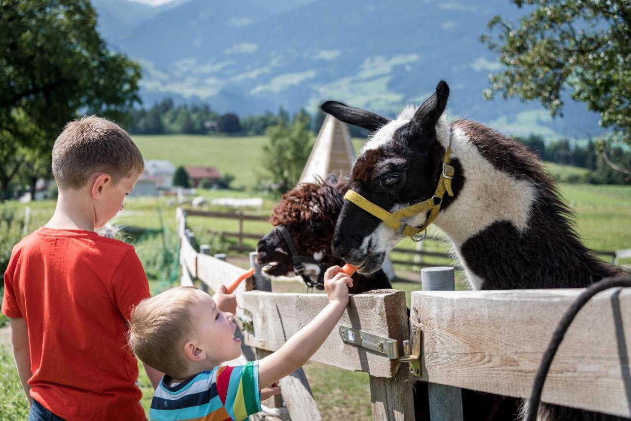 Chalet-Karwendel Terfens Dış mekan fotoğraf